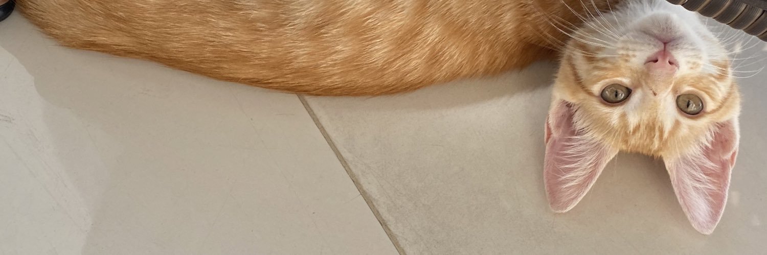 ferdi_soares's profile banner image