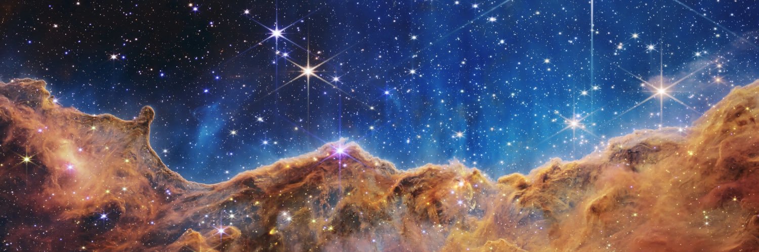 Alejandra Iriza's banner