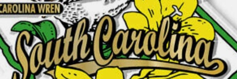 Ralph Mancini banner