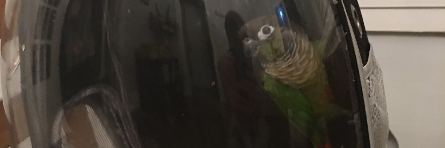 mikecoby's profile banner image
