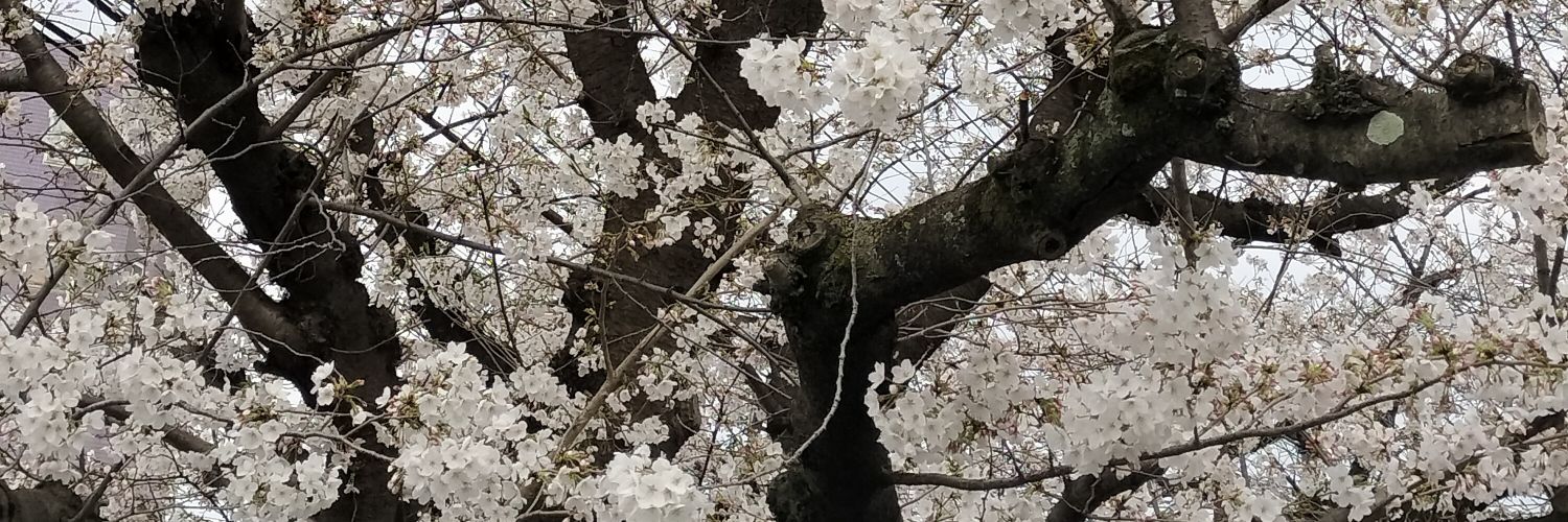 akio33akio's profile banner image