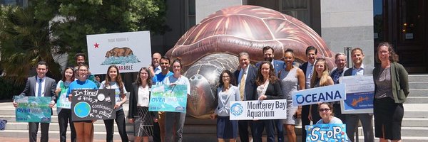 Amy_Wolfrum Profile Banner