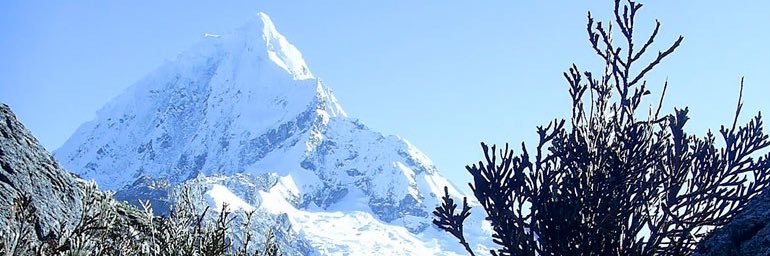 maurilonc's profile banner image