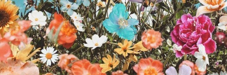 inlovewcoco's profile banner image