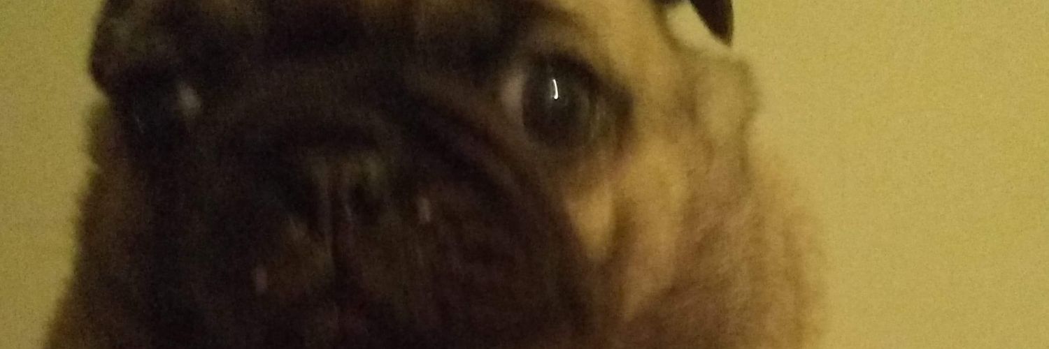 lisabell1267's profile banner image