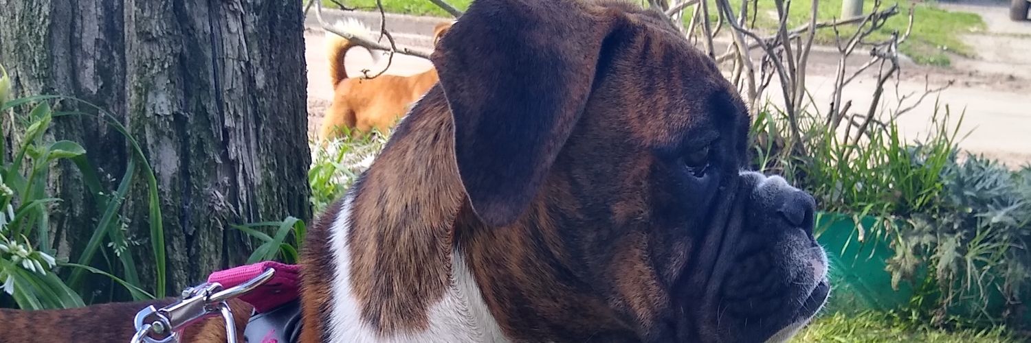 GemaaGimenez's profile banner image