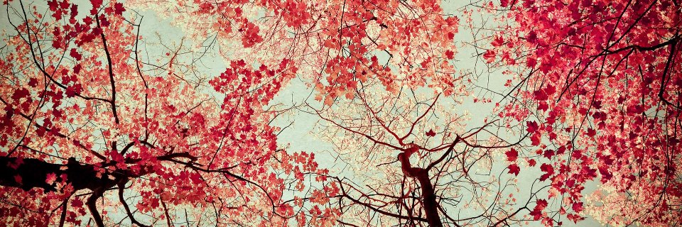hanan7ssan's profile banner image