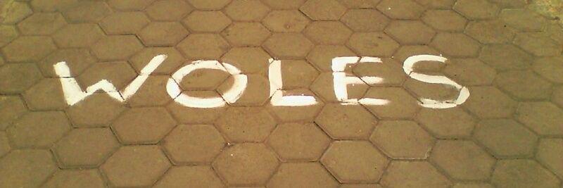 wO_oles's profile banner image