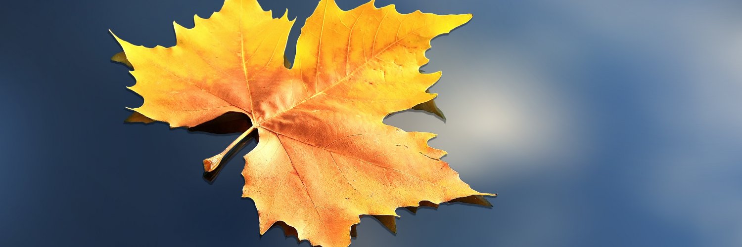 CodyChristopher's profile banner image