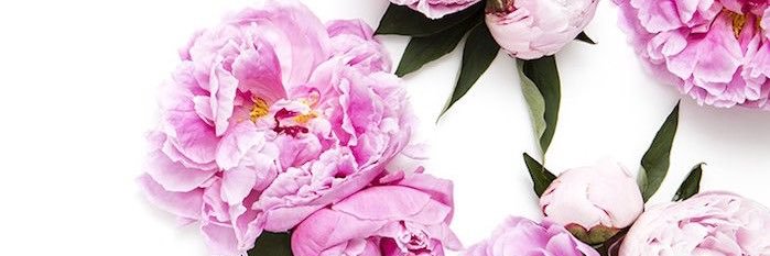 JenTomal's profile banner image