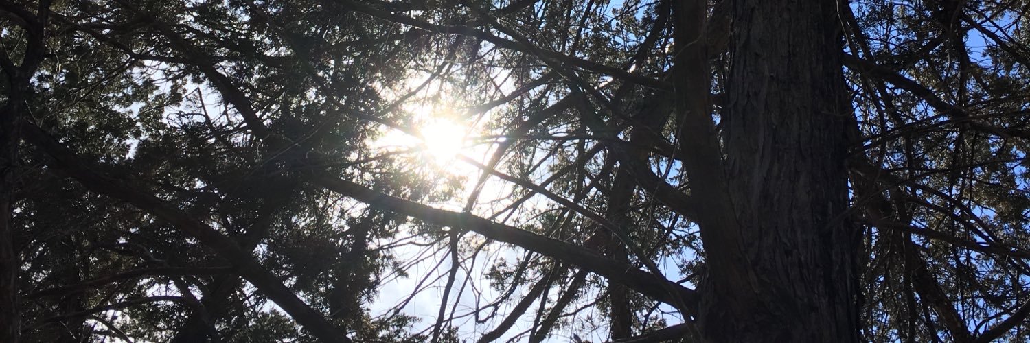 niccentanni's profile banner image
