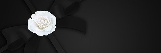 Incaparino's profile banner image