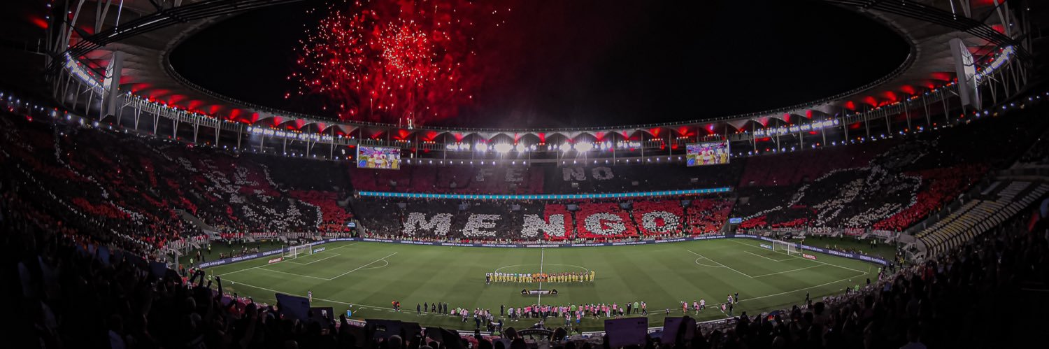 erickaraujo's profile banner image