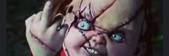 Certified🐊Lover banner