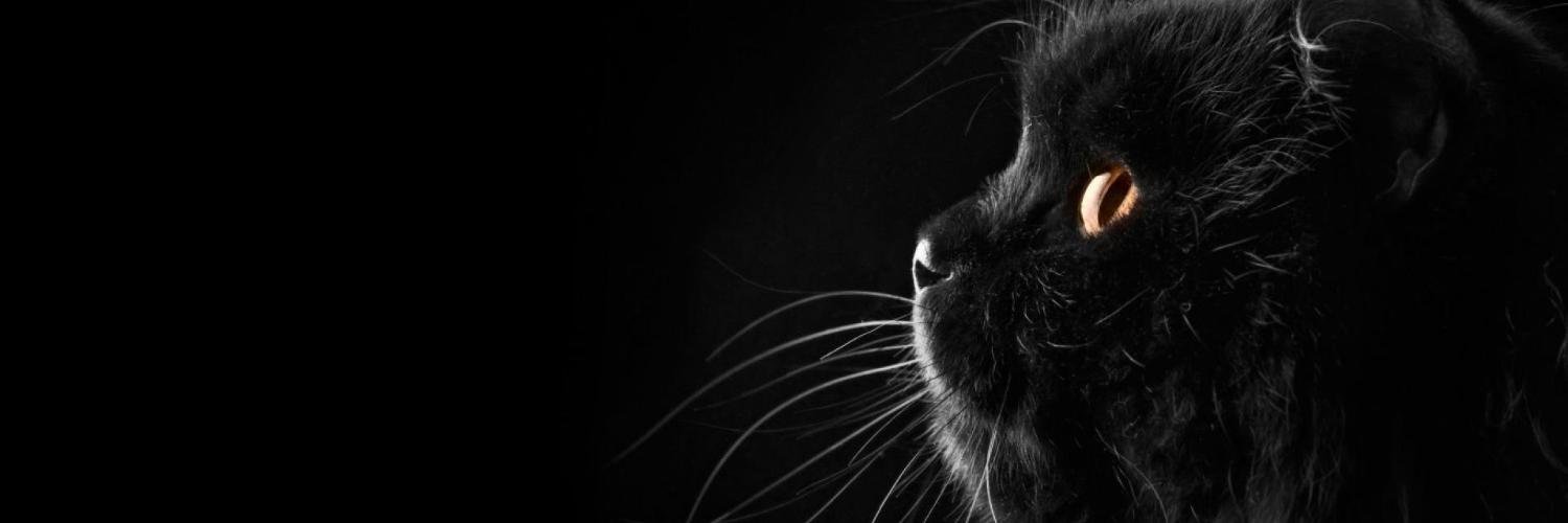 delialdiano's profile banner image