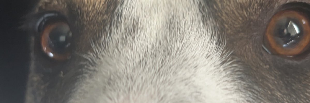 RomeJ13's profile banner image