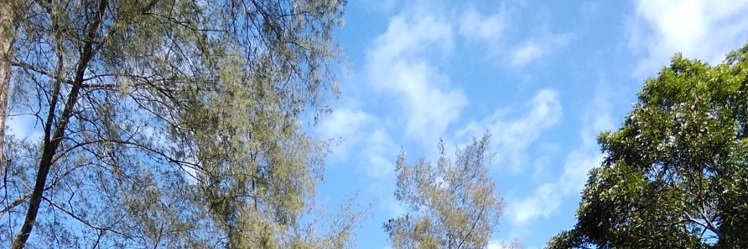 lelasari73's profile banner image