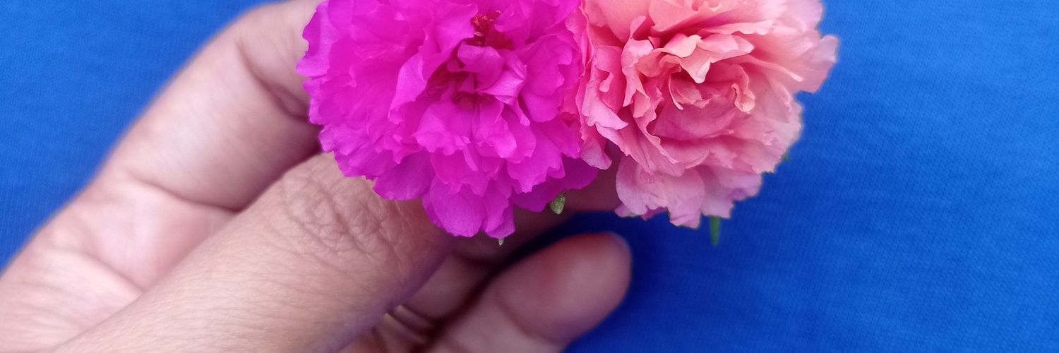 fawaizzah's profile banner image