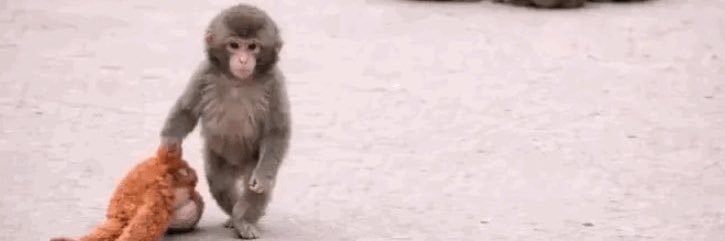 _spacechimps_'s profile banner image