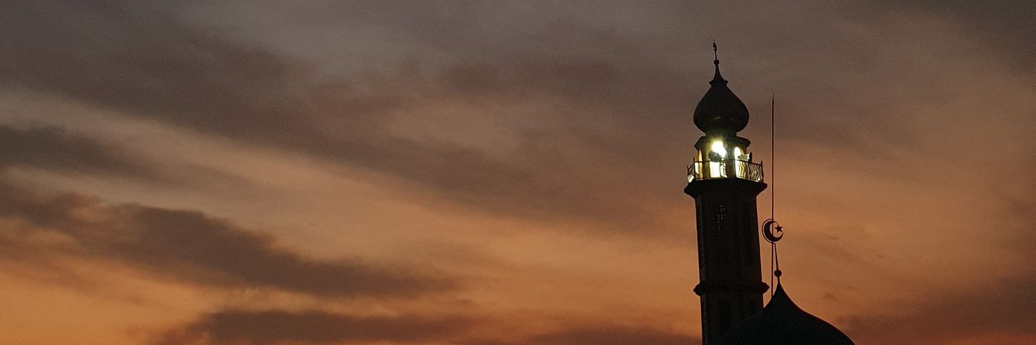 nannips's profile banner image