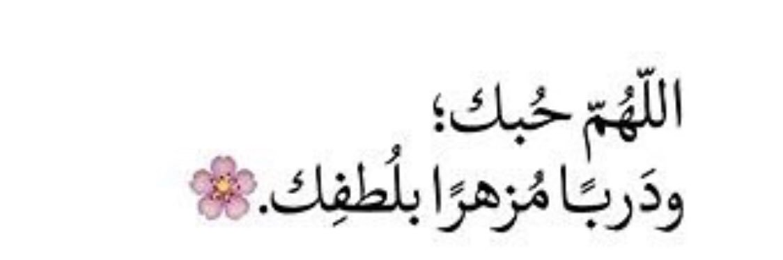 warda741's profile banner image