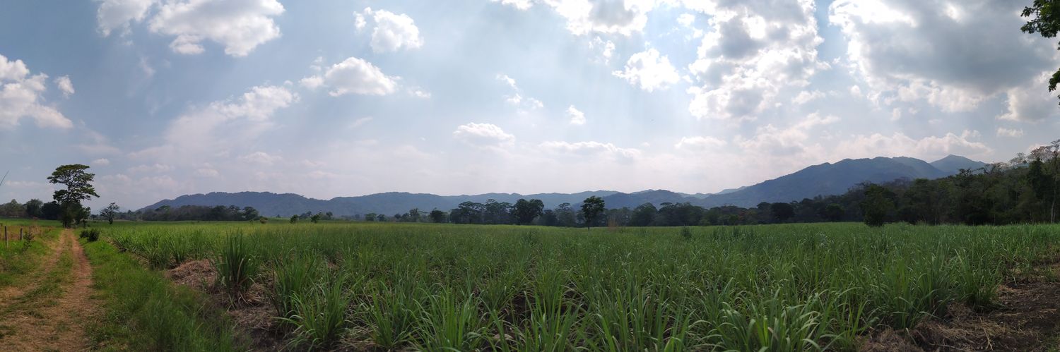 Orlando AX 🌐 banner