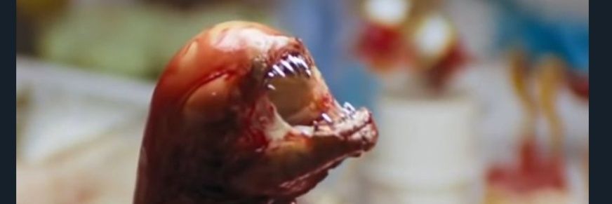 나의 왼발 banner