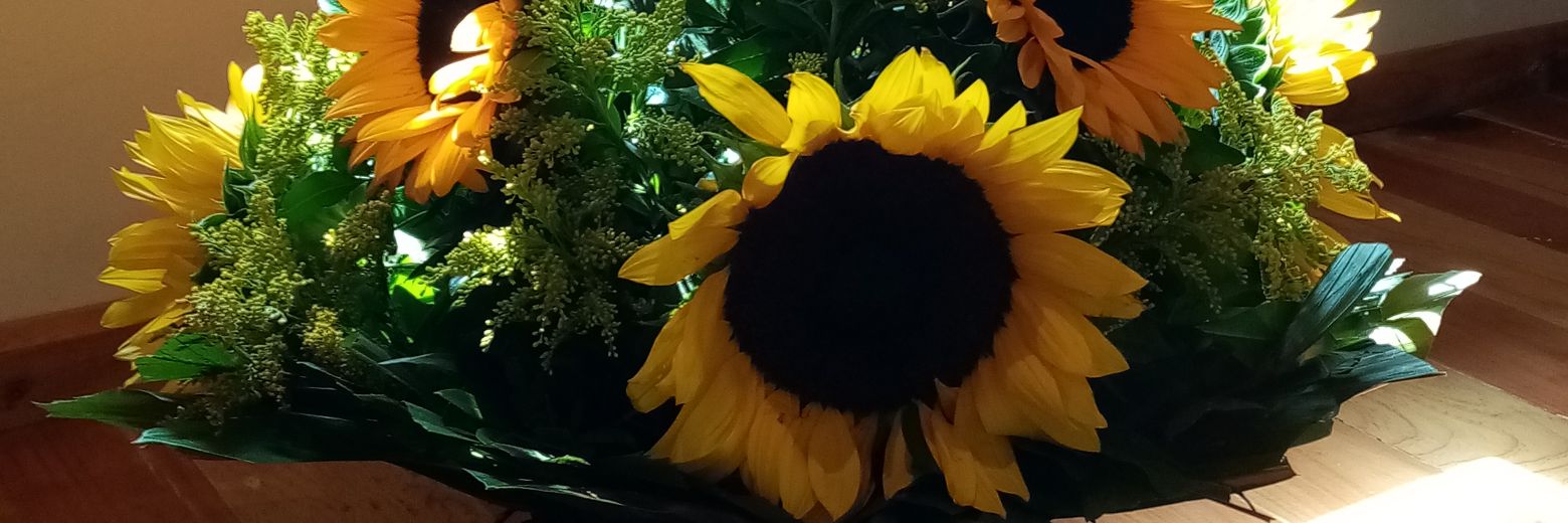 Ixqui1's profile banner image