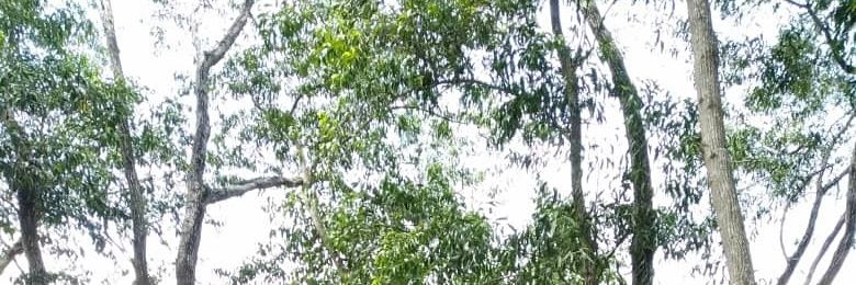 FazrilFairus's profile banner image