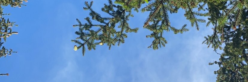 jcaesco's profile banner image