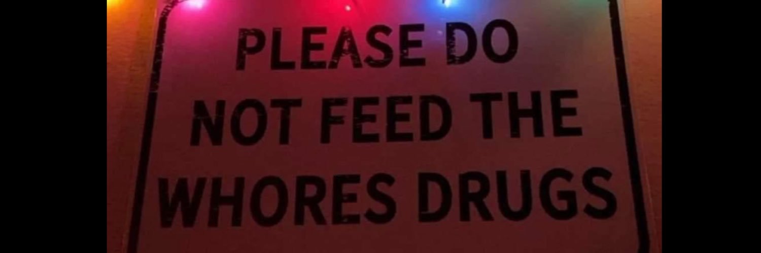 cotten headed ninny moggies banner