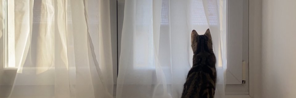 crxsk_'s profile banner image