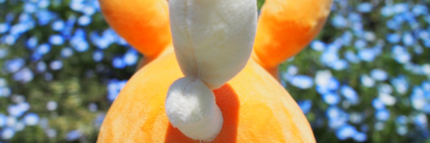 kuri_summer's profile banner image