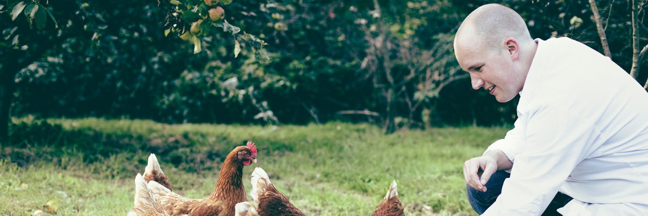Tjitze van der Dam banner