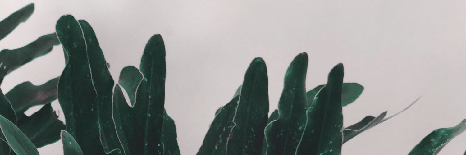 _nisaaab's profile banner image