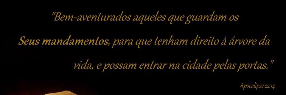 Velocidade_X's profile banner image