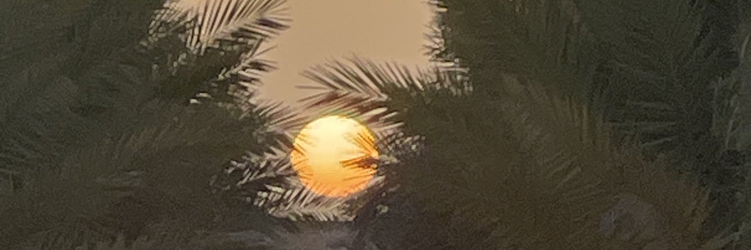 عقل الضميري banner