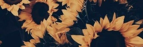 ghithaF's profile banner image