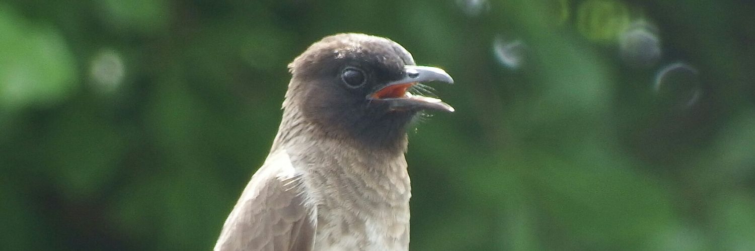 profkitur's profile banner image
