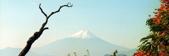 tanaken's profile banner image