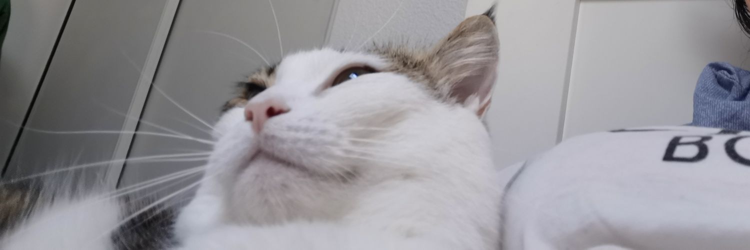 annactout's profile banner image