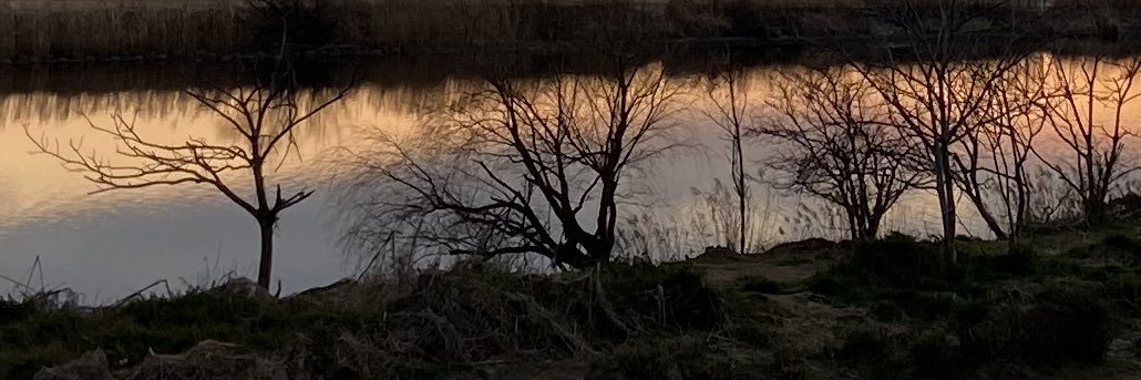 桃園瑠夏（仮名） banner