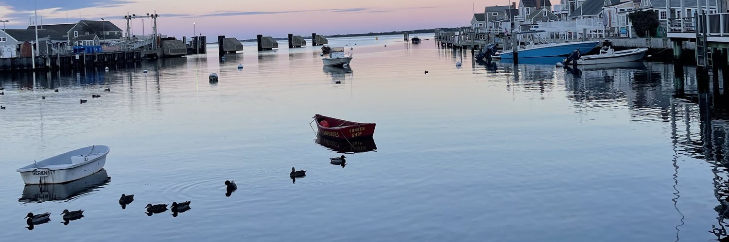 Diana Shields banner