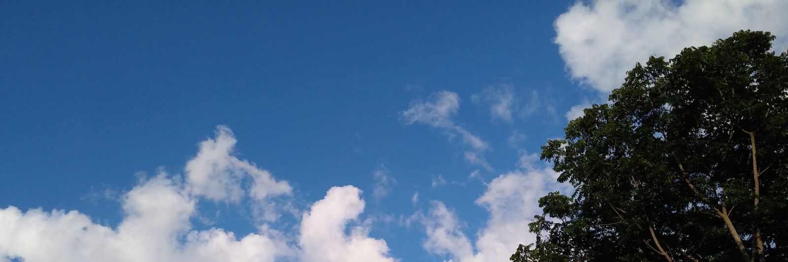 richfami's profile banner image