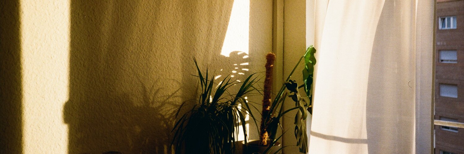 raquelhbertol's profile banner image