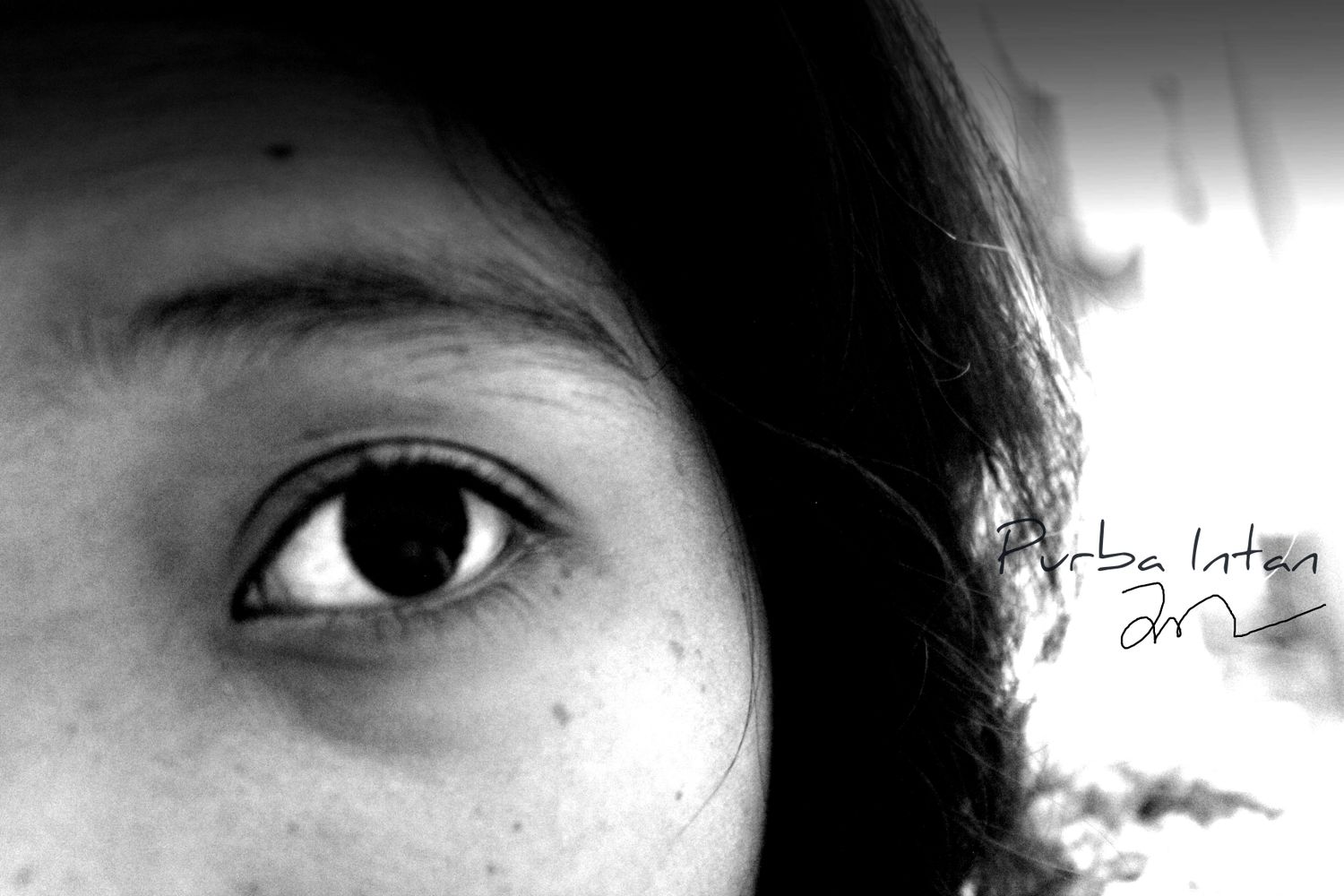 ipurrrrrrr's profile banner image