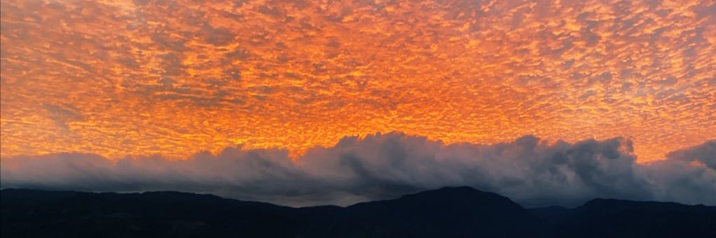 simplypoetz's profile banner image