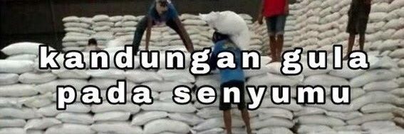 Dian-kun banner