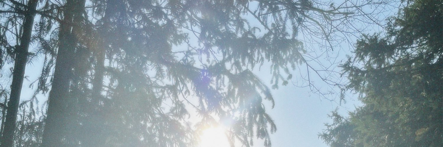 . banner