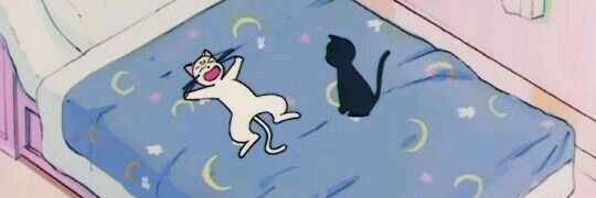 🎃 Tamsu 🦇 banner